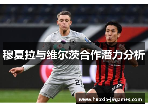 穆夏拉与维尔茨合作潜力分析